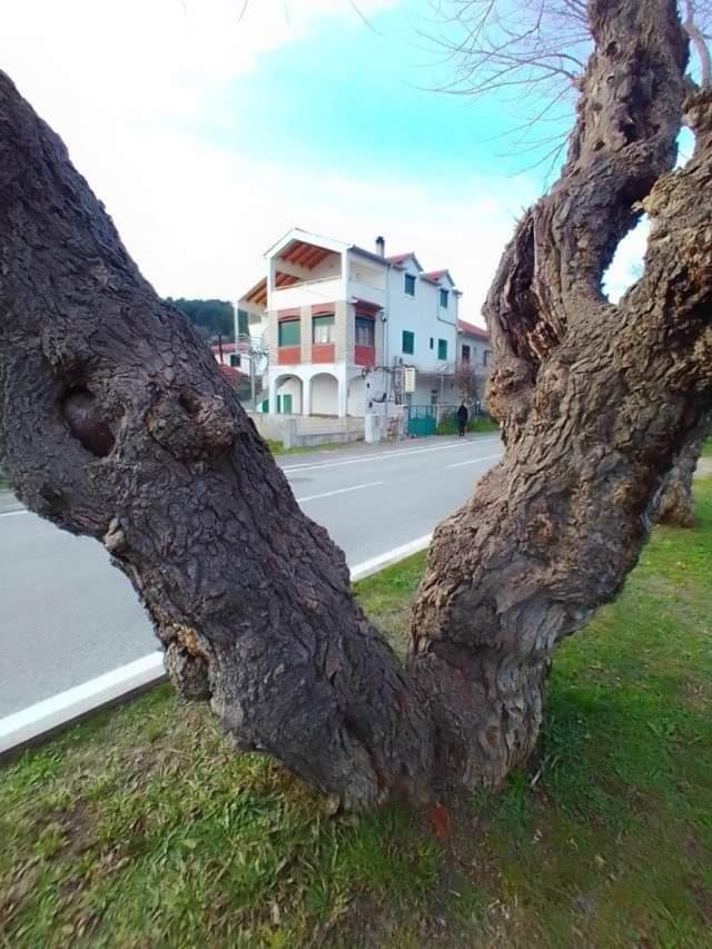 Apartments Pulic Skradin Exterior photo